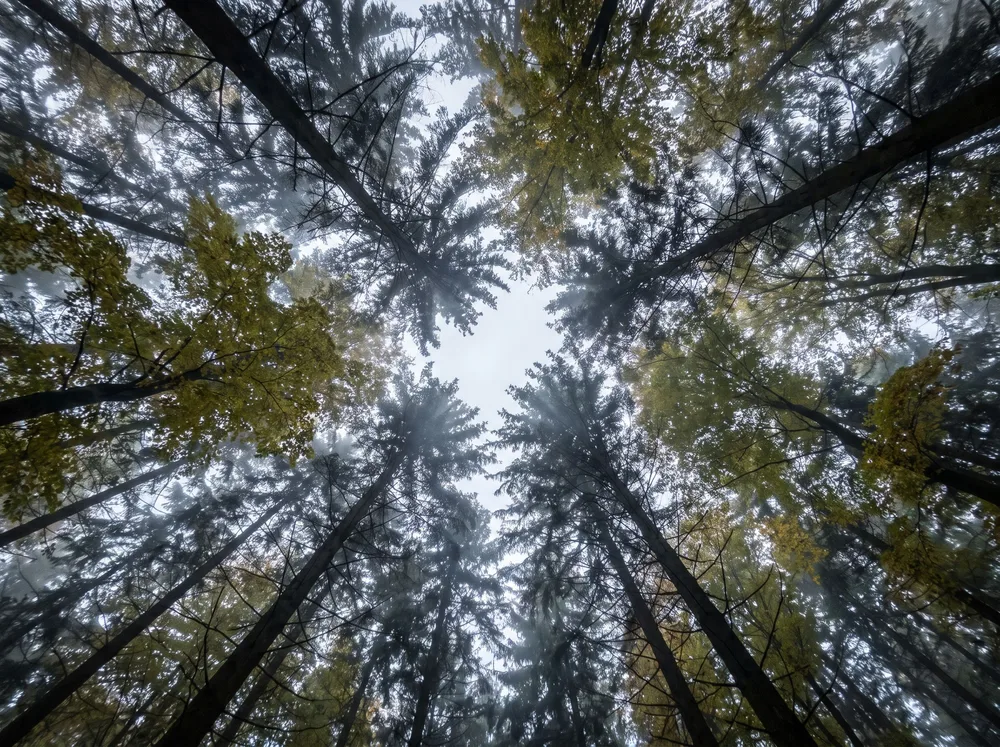 Akademska i terenska stručnost